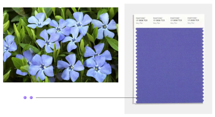 bwin必赢纺织面料