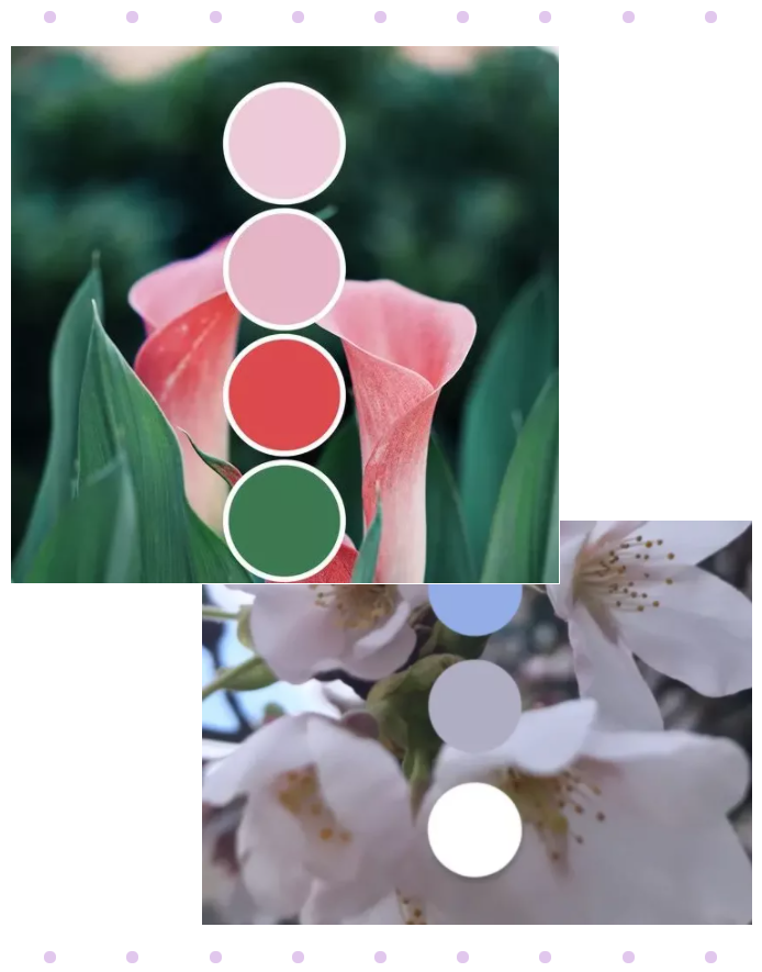 bwin必赢纺织面料