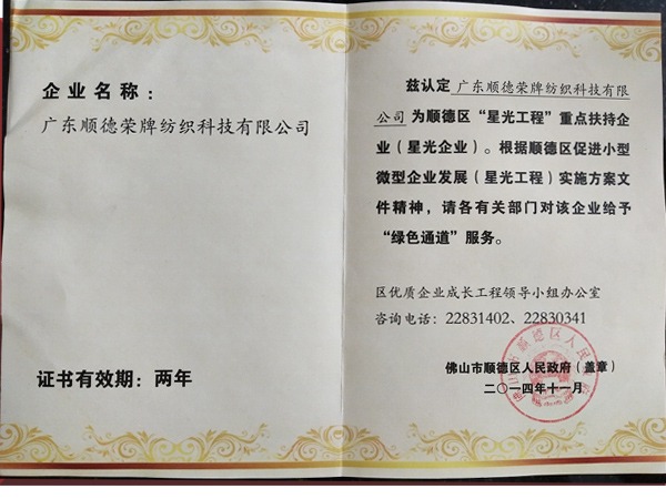 bwin必赢荣获政府重点扶持企业